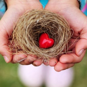 nest with heart